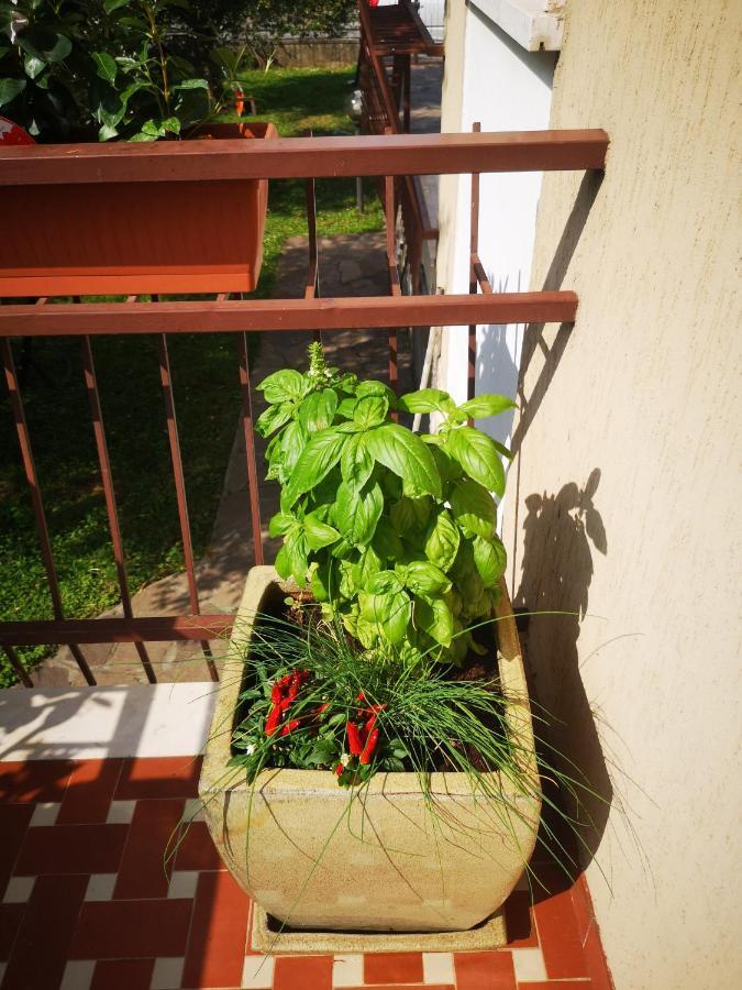 Appartement Ai Quattro Ulivi à Peschiera del Garda Extérieur photo