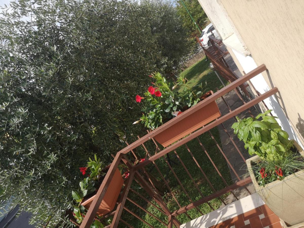 Appartement Ai Quattro Ulivi à Peschiera del Garda Extérieur photo